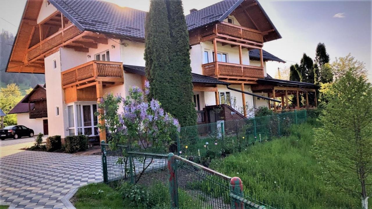 Pensiunea Casa-Stefanel Sadova  Exteriör bild