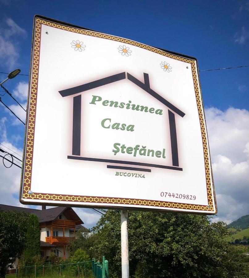 Pensiunea Casa-Stefanel Sadova  Exteriör bild